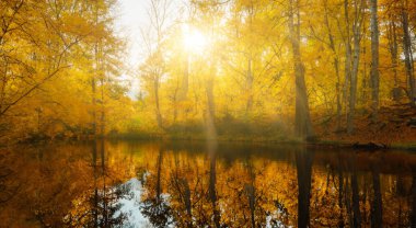 Sonbahar ormanı HD ile yansıtılan güzel göl