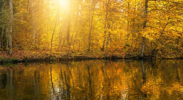 Beautiful Lake Forest Autumn Reflected — Stock Photo, Image