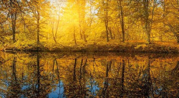 Piękne Jezioro Lasem Jesienią Odbite Promieniami Słońca Tle Wysokiej Rozdzielczości Obrazek Stockowy