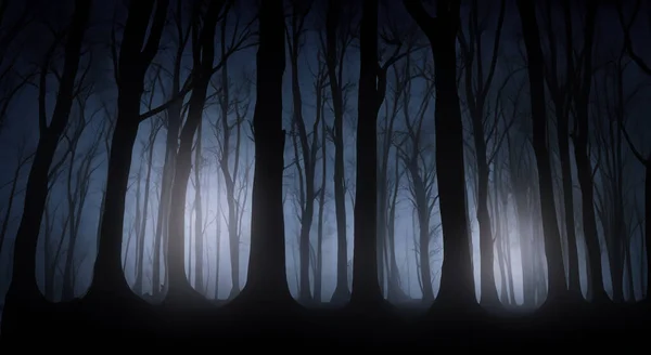 Assustador Noite Floresta Com Escuridão Altas Árvores Alta Resolução Fotografia De Stock