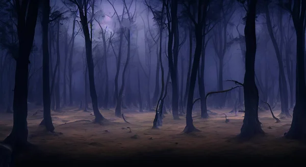 Floresta Assustadora Noite Com Escuridão Árvores Altas Imagens Royalty-Free
