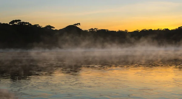 amazing amazon river with mist in a sunrise in high resolution