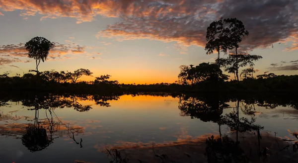 Beautiful Amazon River Sunset High Resolution Sharpness — Stock Photo, Image