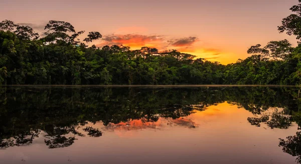 Красивая Река Амазон Время Заката Высоком Разрешении — стоковое фото