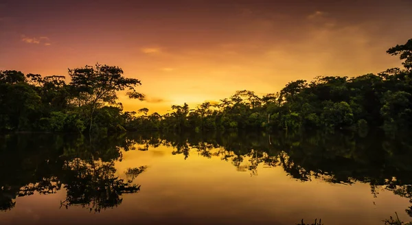 Beautiful Amazon River Sunset — Stock Photo, Image