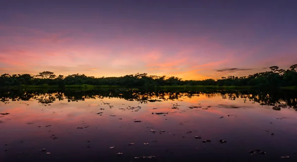 Belo Rio Amazona Durante Nascer Sol Perfeito Alta Resolução — Fotografia de Stock