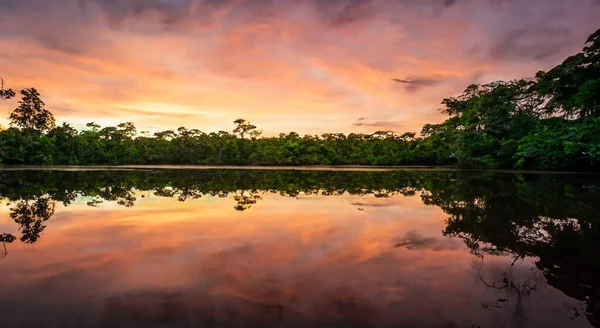 Beautiful Amazon River Perfect Sunrise — Stock Photo, Image
