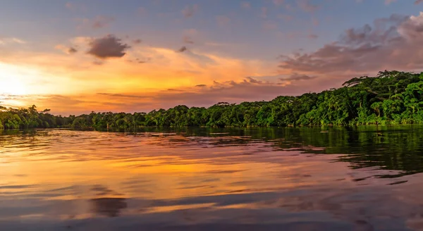 Schöner Amazonas Fluss Mit Nebel Einem Wunderschönen Sonnenaufgang — Stockfoto