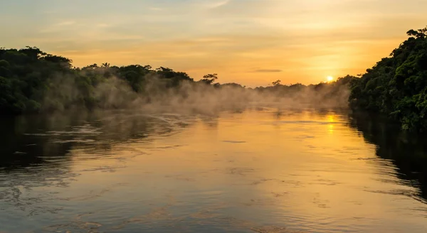 beautiful amazon river with mist in a sunrise