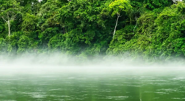 Majestätisch Grüner Fluss Des Amazonas Mit Dunst Einem Wunderschönen Sonnenaufgang — Stockfoto