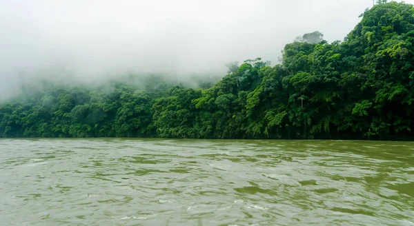 Majestätisch Grüner Fluss Des Amazonas Mit Dunst Sonnenaufgang — Stockfoto