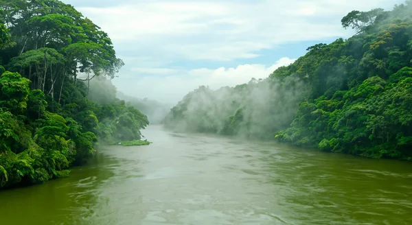 Majestueuze Amazone Rivier Met Mist Een Prachtige Zonsopgang Bebost Gebied — Stockfoto