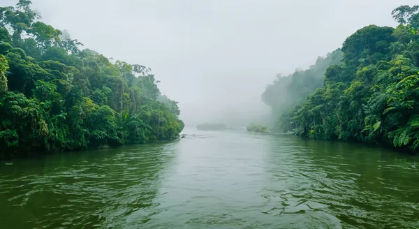 Majestätischer Amazonas Fluss Mit Nebel Einem Wunderschönen Sonnenaufgang Bewaldetes Gebiet — Stockfoto