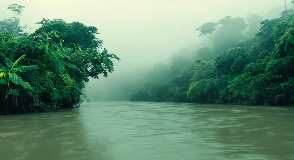 majestic amazon river with mist in a beautiful sunrise, forested area in high definition