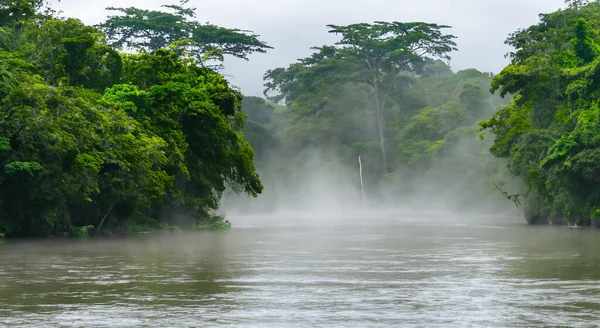 majestic amazon river with mist in a sunrise