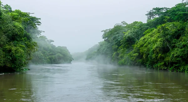 Prachtvoller Amazonas Fluss Mit Dunst Und Grünen Wäldern Hoher Auflösung — Stockfoto