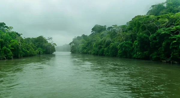 Великолепная Туманная Река Амазон Туманом Зелеными Лесами Высоким Разрешением Высокой — стоковое фото