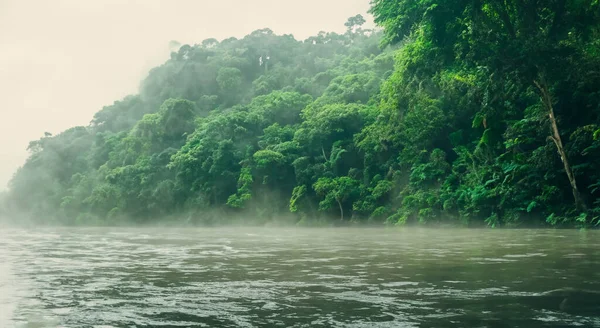 Великолепная Туманная Река Амазон Туманом Зелеными Лесами Высоком Разрешении Резкости — стоковое фото