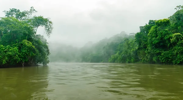 magnificent misty amazon river with mist and green forested area in high resolution HD