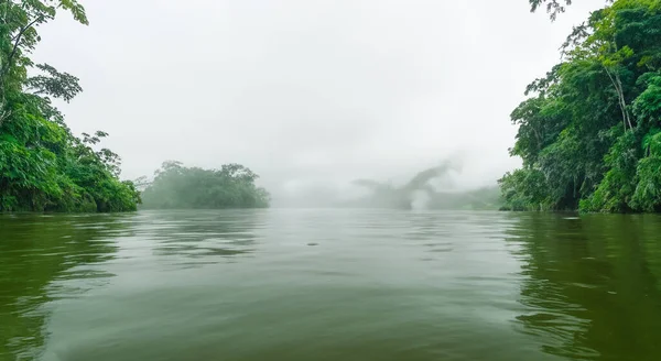magnificent misty amazon river with mist and green forested area in high resolution