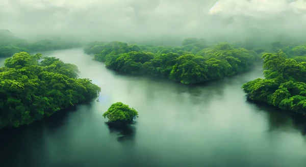 Magnificent Misty Amazon River Mist Green Forested Area — Stock Photo, Image