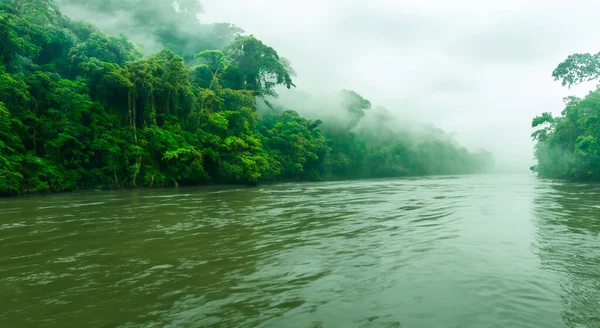magnificent misty amazon river with mist and forested area