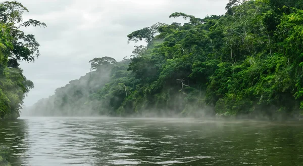 Niesamowita Rzeka Amazonka Mgłą Obszarem Leśnym Wschodzie Słońca Wysokiej Rozdzielczości — Zdjęcie stockowe