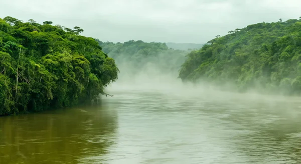 amazing amazon river with mist in a beautiful sunrise