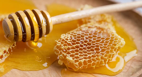 delicious bee bread covered with honey in detail in high resolution and high sharpness HD