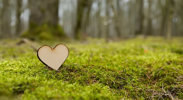 Piękne Drewniane Serce Środku Zielonego Lasu Szczegółach Wysokiej Rozdzielczości Ostrości — Zdjęcie stockowe