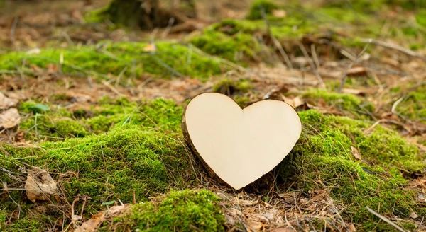 Piękne Drewniane Serce Środku Zielonego Lasu Wysokiej Rozdzielczości — Zdjęcie stockowe