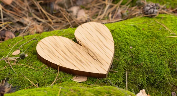Piękne Drewniane Serce Środku Zielonego Lasu Szczegółach — Zdjęcie stockowe