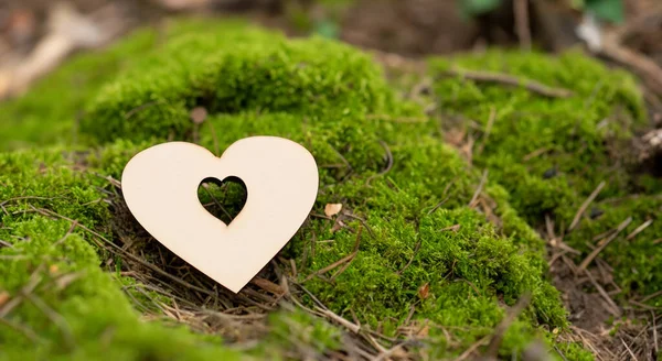 Belo Coração Madeira Meio Uma Floresta Verde — Fotografia de Stock