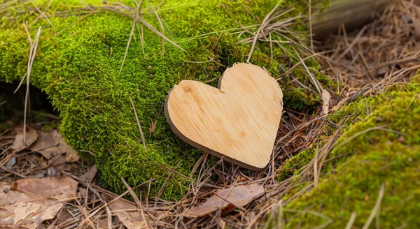 Piękne Serce Wykonane Drewna Drzewa Środku Lasu Wysokiej Rozdzielczości Ostrości — Zdjęcie stockowe