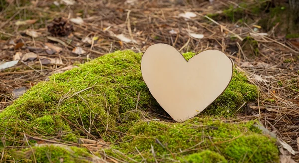 Piękne Serce Wykonane Drewna Drzewa Środku Lasu Wysokiej Rozdzielczości — Zdjęcie stockowe