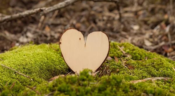 Piękne Serce Wykonane Drewna Drzewnego Pięknym Lesie — Zdjęcie stockowe