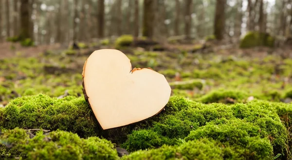 Piękne Serce Wykonane Drewna Drzewa Zielonym Lesie Wysokiej Rozdzielczości Wysokiej — Zdjęcie stockowe