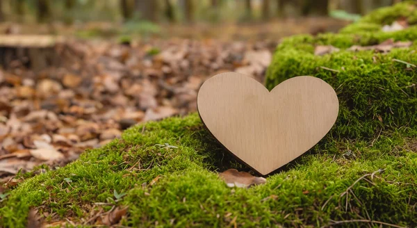 Old Wooden Heart Middle Beautiful Forest High Resolution — Stock Photo, Image