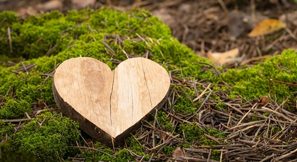 Stare Drewniane Serce Środku Zielonego Lasu — Zdjęcie stockowe