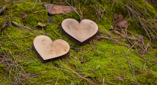 Para Serc Drewna Środku Lasu — Zdjęcie stockowe