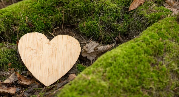 Piękne Serce Wykonane Nowego Drewna Środku Zielonego Lasu Wysokiej Rozdzielczości — Zdjęcie stockowe