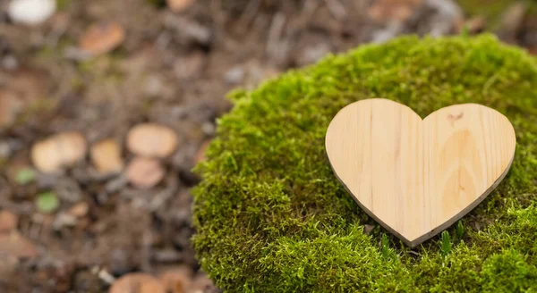 Piękne Serce Wykonane Nowego Drewna Środku Zielonego Lasu Wysokiej Rozdzielczości — Zdjęcie stockowe