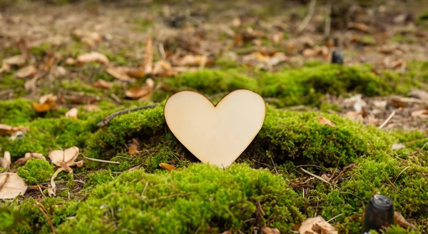 Piękne Serce Wykonane Nowego Drewna Środku Zielonego Lasu — Zdjęcie stockowe