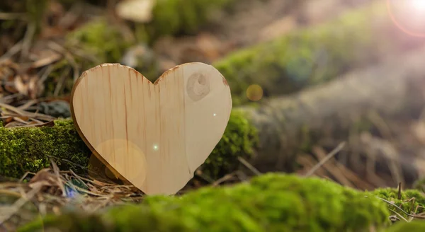 Piękne Serce Wykonane Nowego Drewna Środku Lasu — Zdjęcie stockowe
