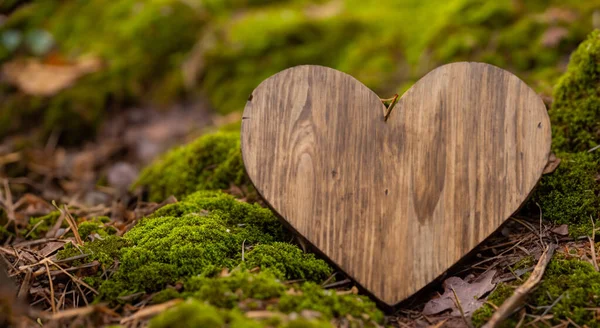 Słodkie Serce Wykonane Drewna Trawie Lasu Wysokiej Rozdzielczości Ostrości — Zdjęcie stockowe