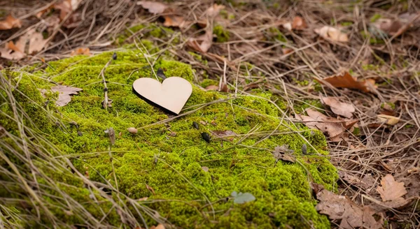 Słodkie Serce Wykonane Drewna Trawie Lasu Wysokiej Rozdzielczości — Zdjęcie stockowe