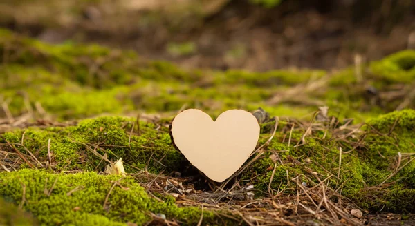 Słodkie Serce Wykonane Drewna Trawie Lasu — Zdjęcie stockowe