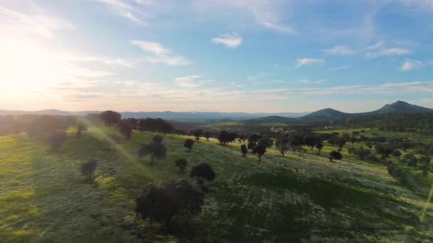 アルバーカーキのエストレマドゥーラの放牧地の空想的な眺め バダジュ — ストック動画
