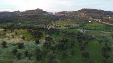 Alburquerque, Badajoz 'da otlayan Extremadura' nın hava manzarası.