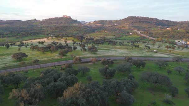 Flygfoto Över Beteslandet Extremadura Alburquerque Badajoz — Stockvideo